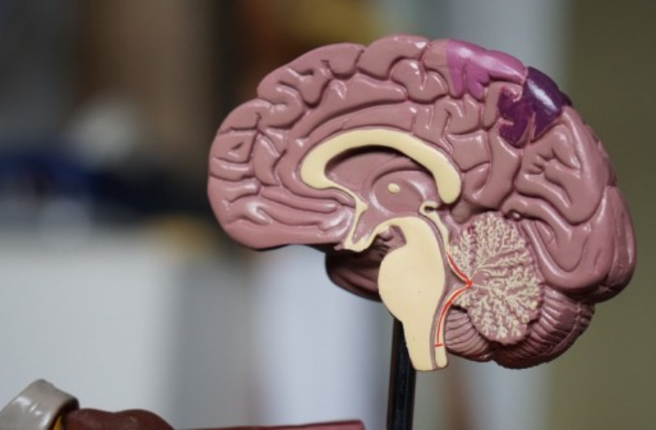 Neuralink permitirá que usuários controlem emoções
