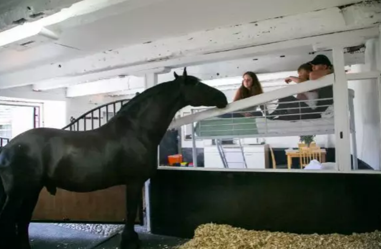 Fazenda permite que hóspedes passem uma noite com cavalo