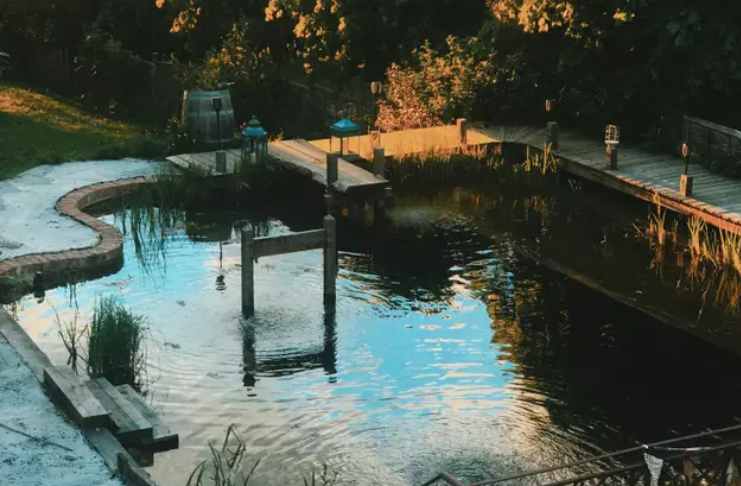Casal passa dois anos criando piscina natural impressionante em seu jardim