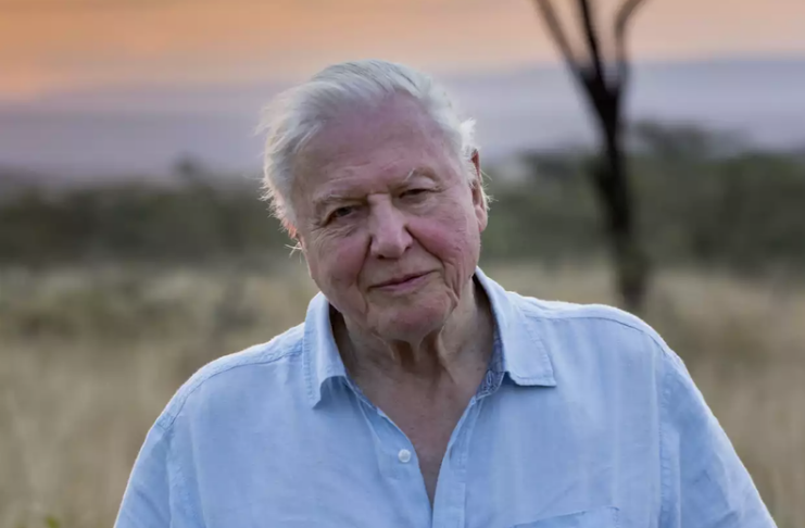 Sir David Attenborough deixa Instagram apenas dois meses após entrar na rede social