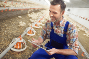 Crédito Nagro – Saiba como solicitar o crédito para produtores rurais